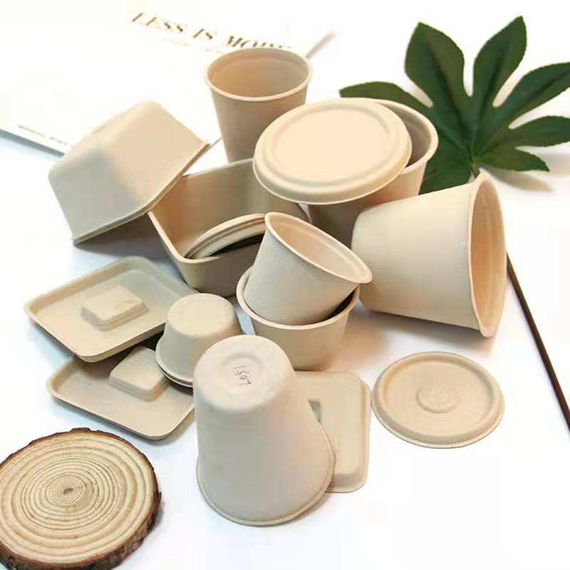 Eco-Friendly Biodegradable Sugarcane Bagasse Bowl
