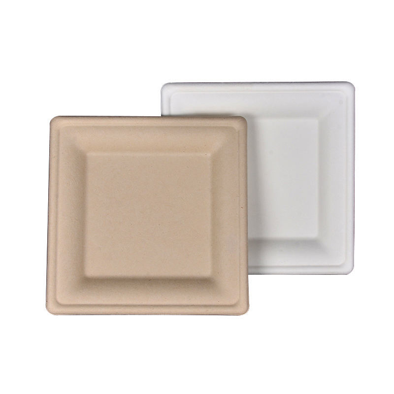 Disposable Square Dinner Restaurant Leakproof Sugarcane Plate