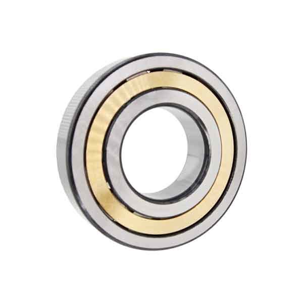 Cylindrical Roller Bearings NJ Series