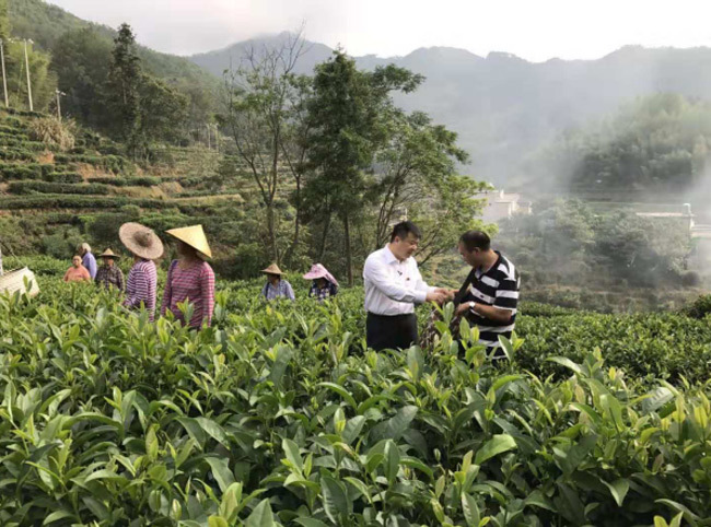 茶葉