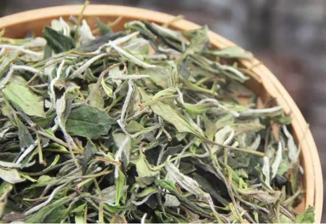 茶葉
