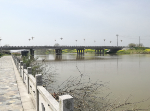 江都“還巢鳳”捐款百萬建大橋