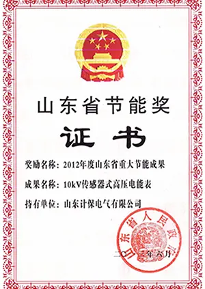 Certificate of Shandong Province Energy Saving Award