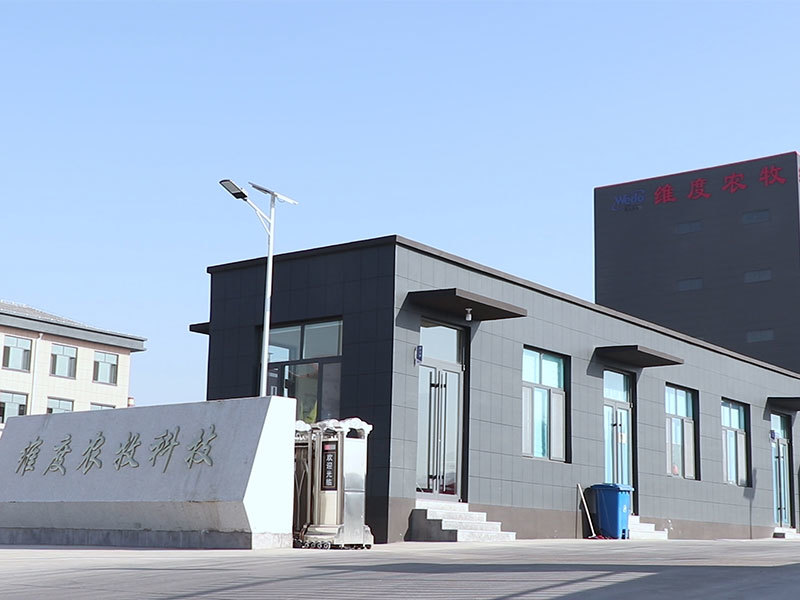 公司外貌