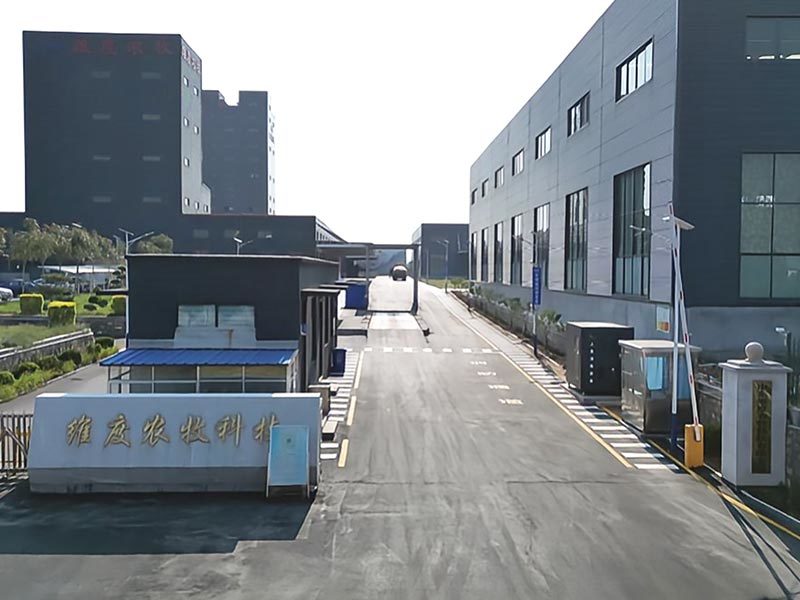 公司外貌
