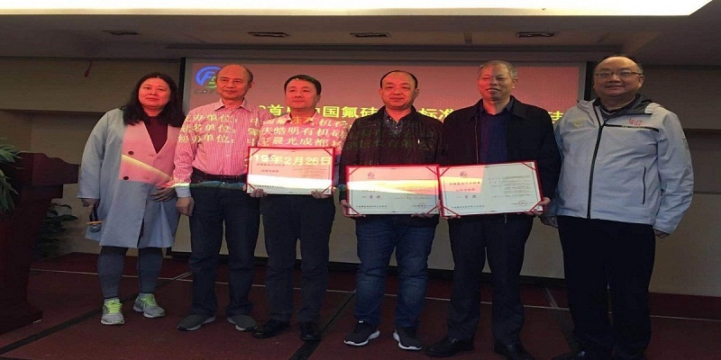 成都拓利科技股份有限公司參加《2019首屆中國氟硅行業標準大會》