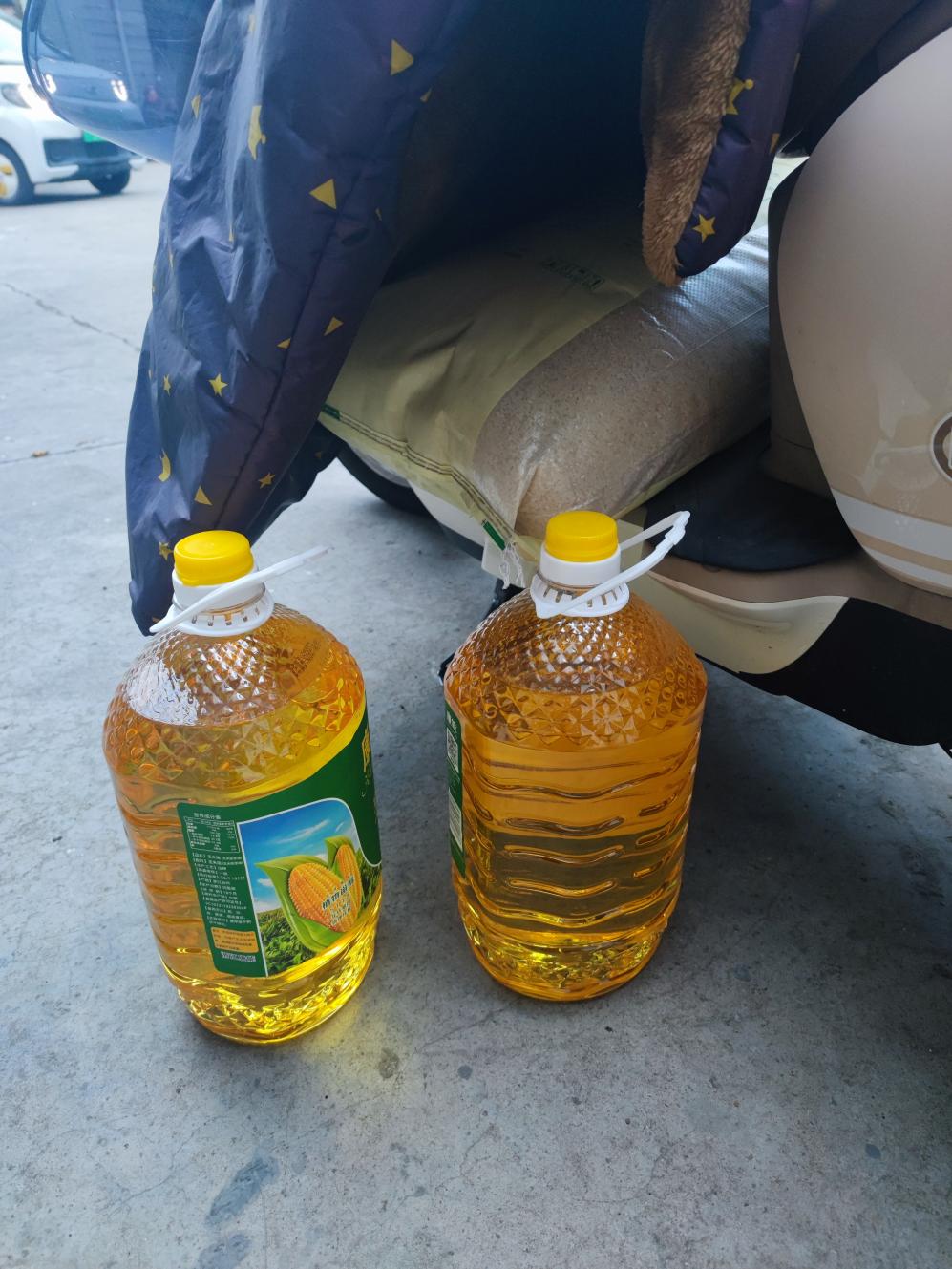  Oil 