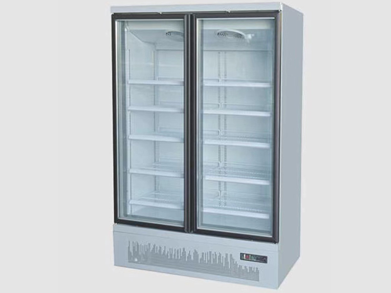 Vertical Refrigerator Cabinet XCZL-LC-01