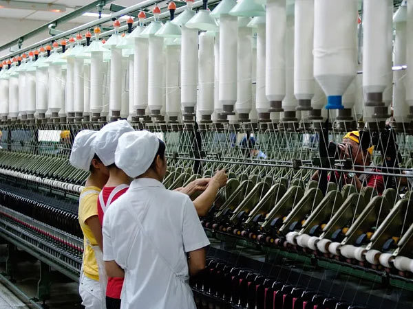 Campo Textil Campo Textil