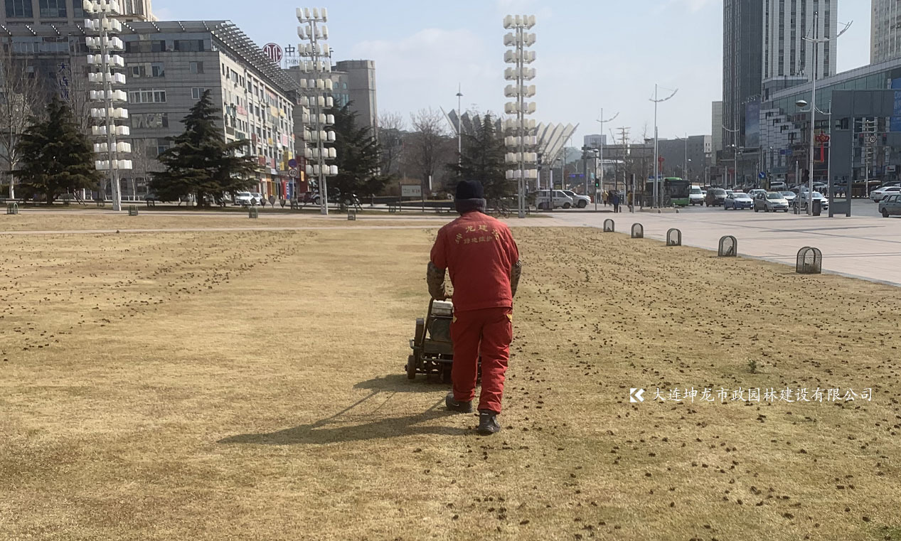 新區(qū)開啟綠地養(yǎng)護模式