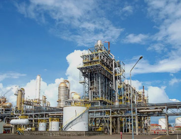 Oil Oil