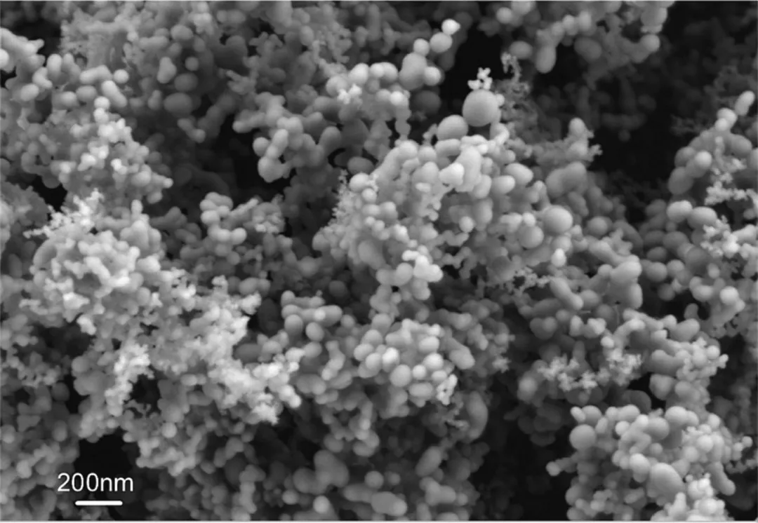 SEM & Surface Profile