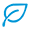 ss