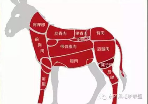 喜德福