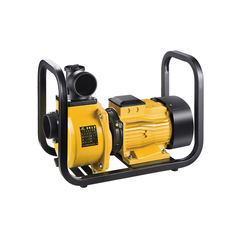 LARGE FLOW ELECTRIC PUMP