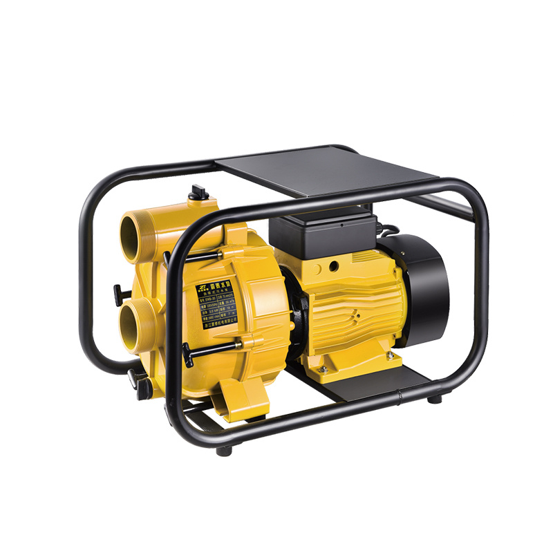 SELF-PRIMING PUMP