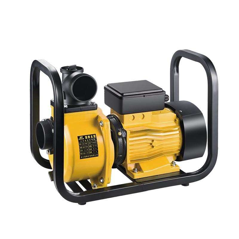 LARGE FLOW ELECTRIC PUMP