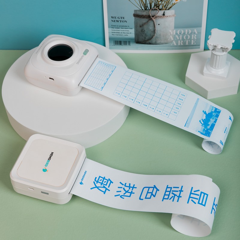Quality computer continuous forms in China manufacturer