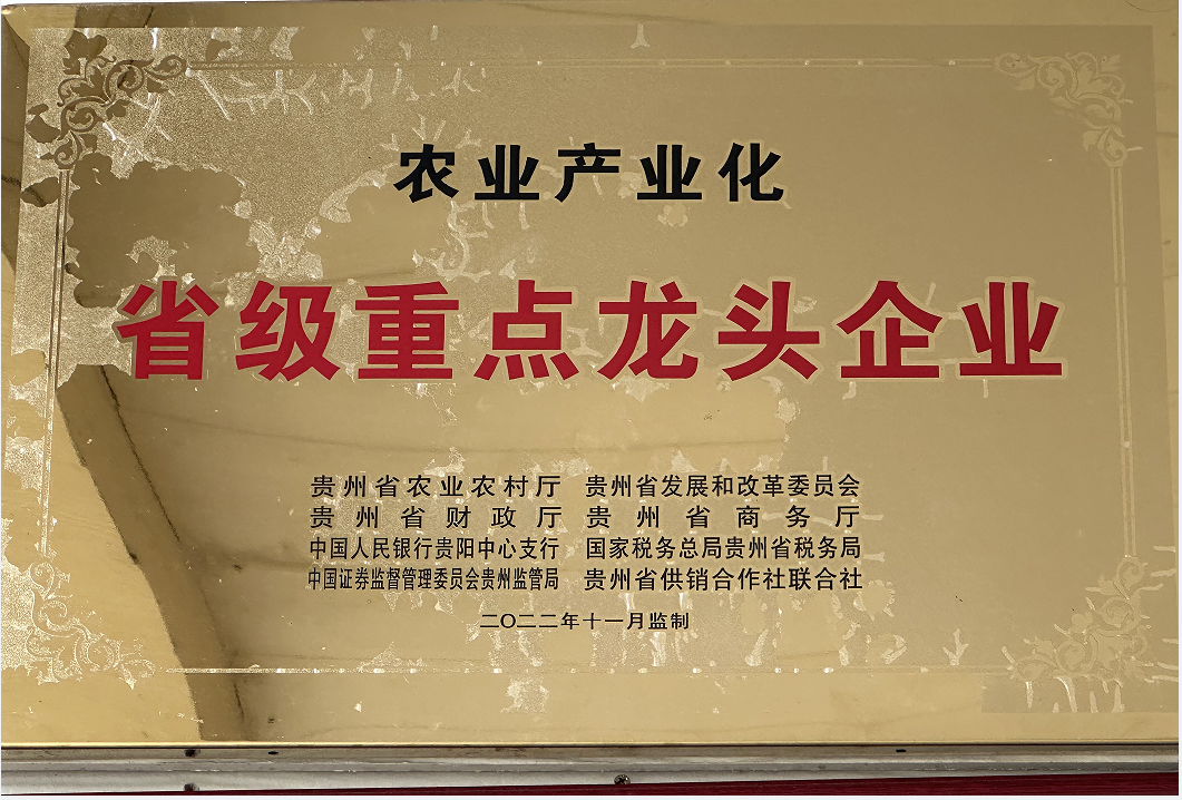 Provincial key leading enterprises Provincial key leading enterprises