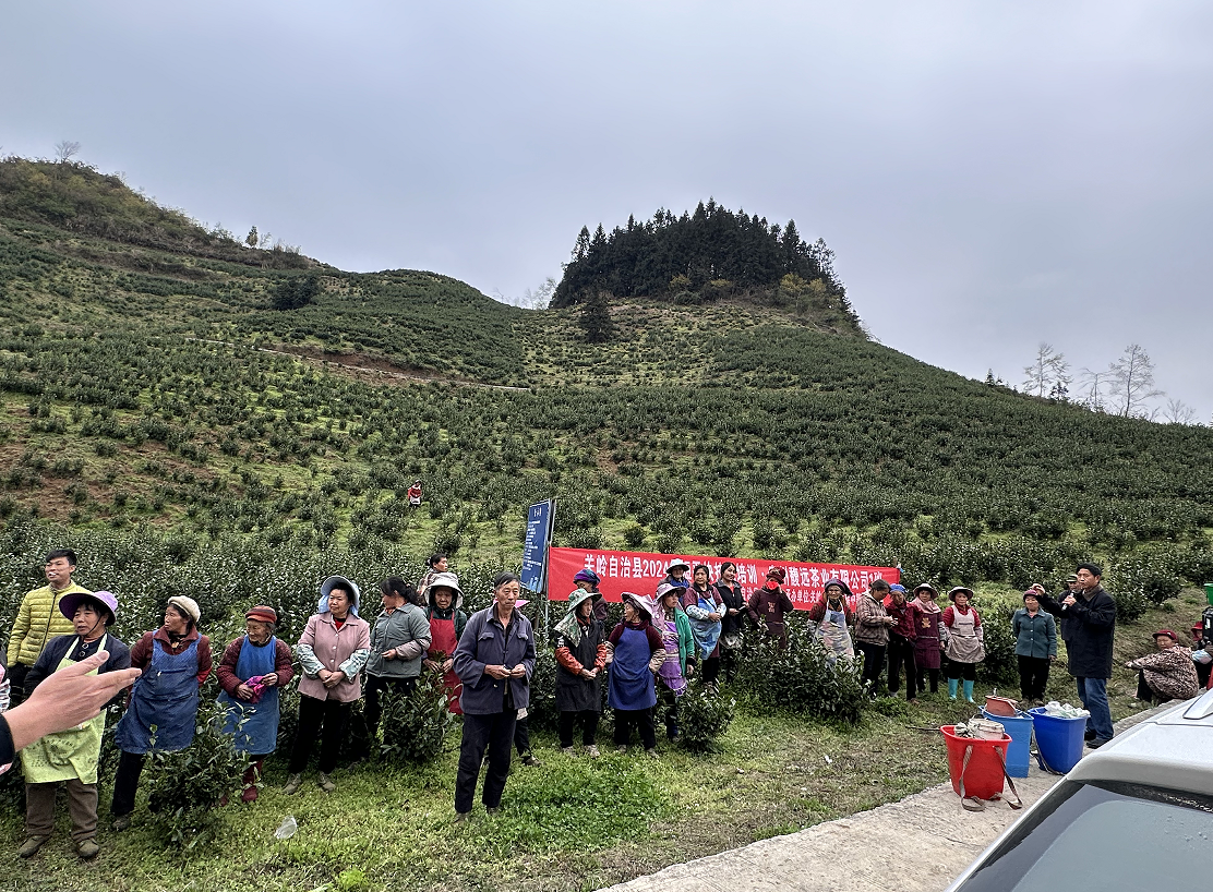 员工风采