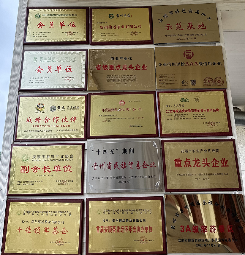 Qualification Honor Qualification Honor