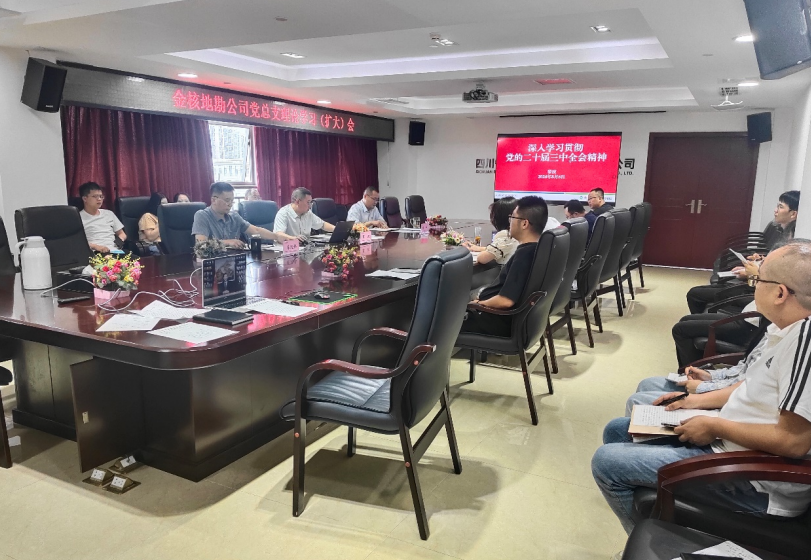 金核地勘公司黨總支 組織召開(kāi)理論學(xué)習(xí)（擴(kuò)大）會(huì)