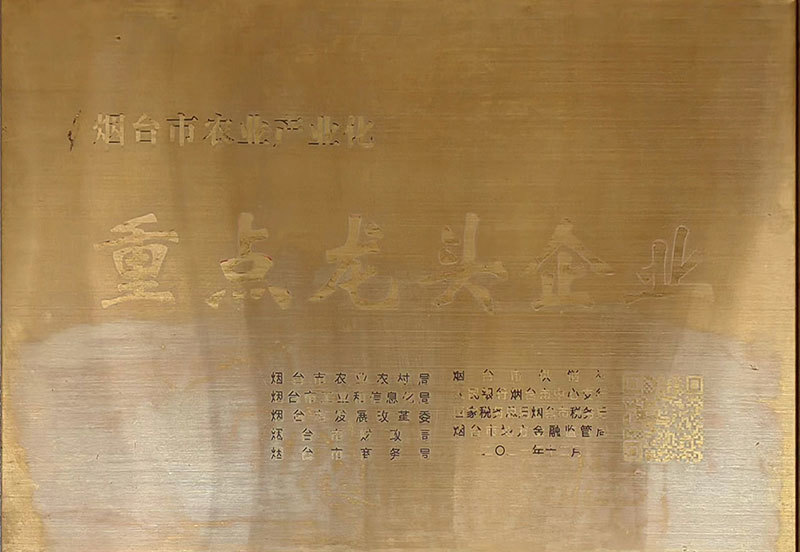 图片名称