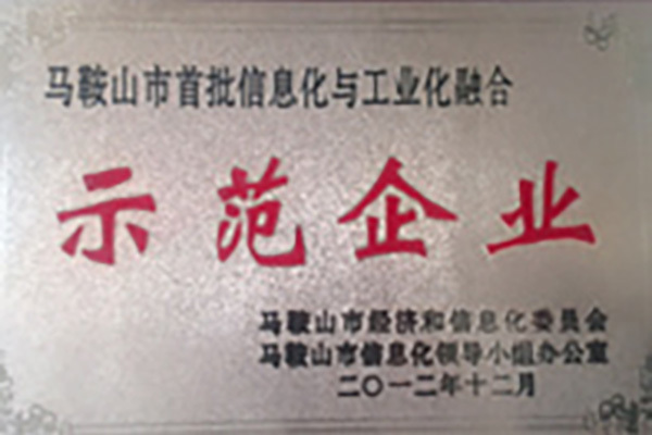 公司被認(rèn)定為“馬鞍山市首批兩化融合示范企業(yè)”