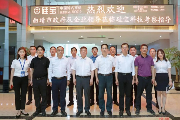 云南曲靖市委副書記、市長李先祥率隊(duì)考察硅寶科技