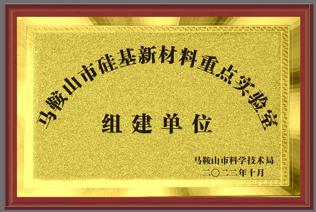 馬鞍山市硅基重點實驗室