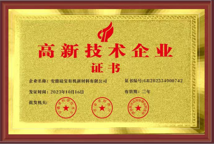 國家高新技術(shù)企業(yè)