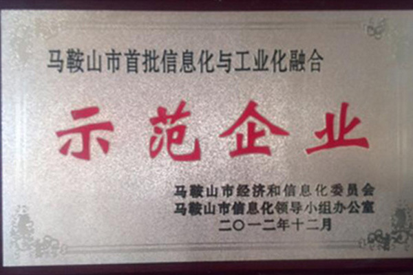 我公司申報(bào)省兩化融合示范企業(yè)等發(fā)展資金項(xiàng)目
