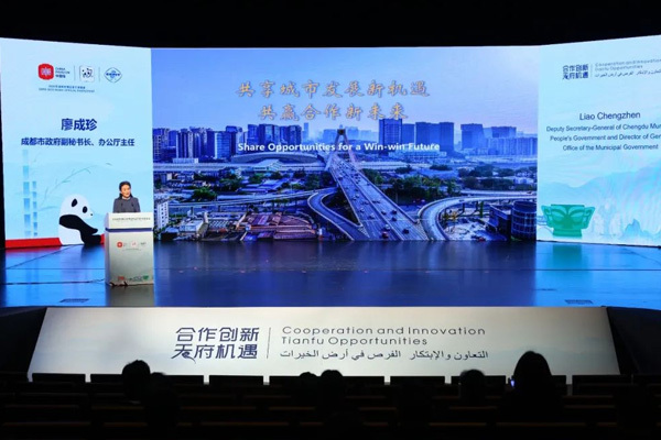 硅寶科技精彩亮相迪拜世博會
