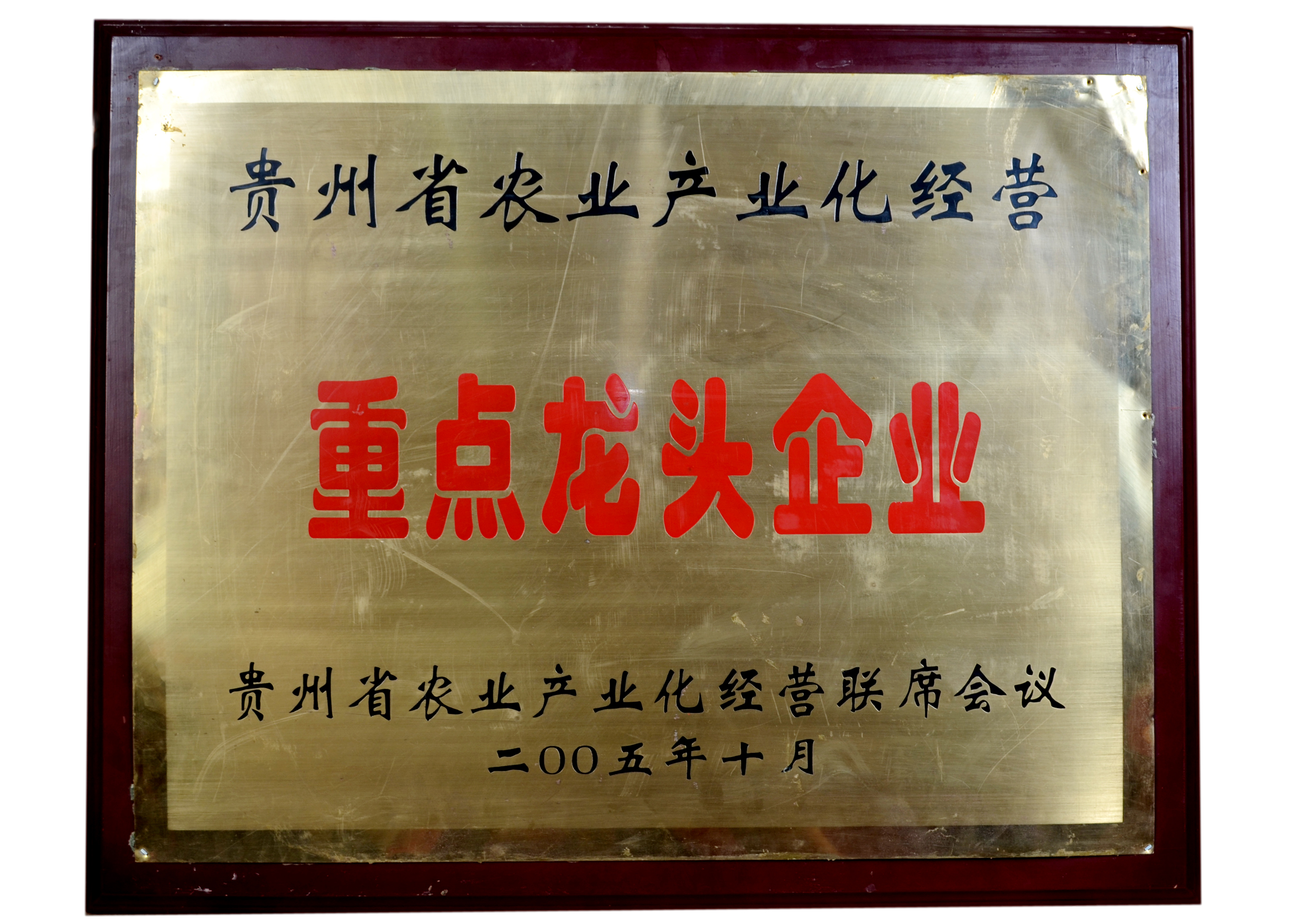 省級龍頭企業(yè)