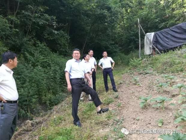 金渠集團(tuán)黨委書記、董事長徐玉金帶隊深入盧氏縣 考察調(diào)研新項目建設(shè)