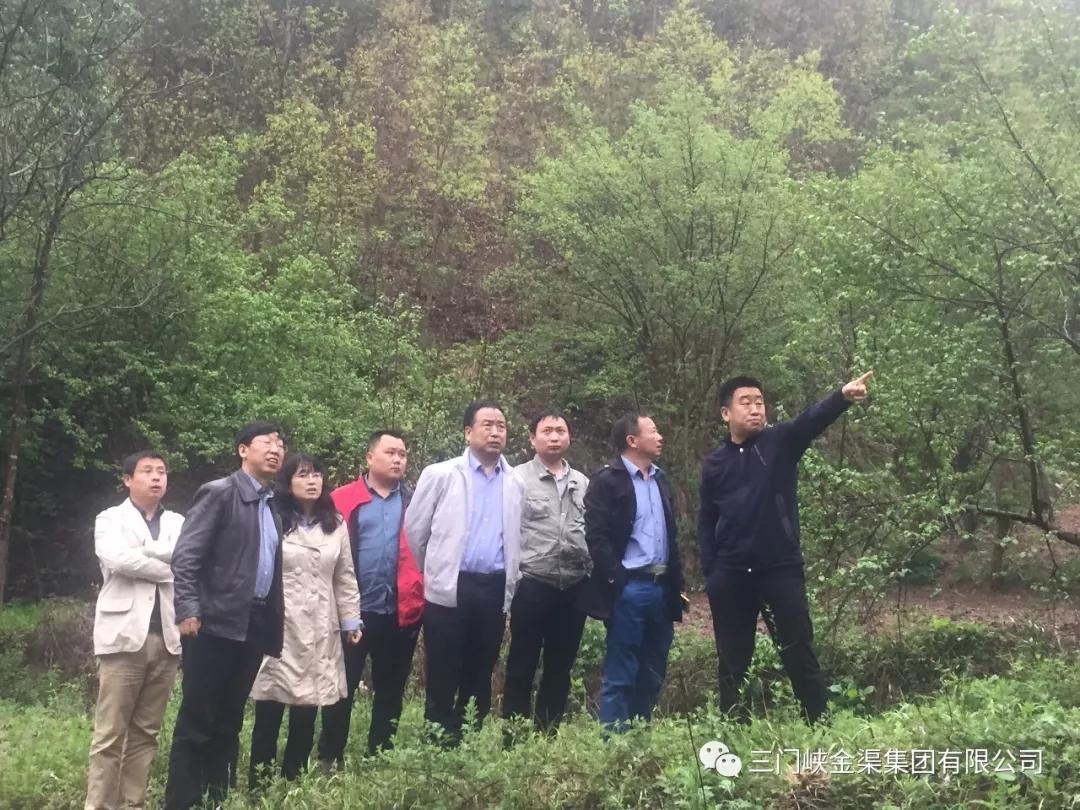 曲總一行到盧氏鋰礦區(qū)現(xiàn)場勘察