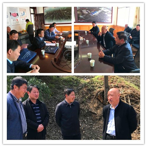 盧氏縣人大常委副主任李新一行到光宇礦業(yè)調(diào)研