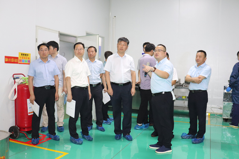 省工信廳領(lǐng)導蒞臨銀通公司調(diào)研指導工作