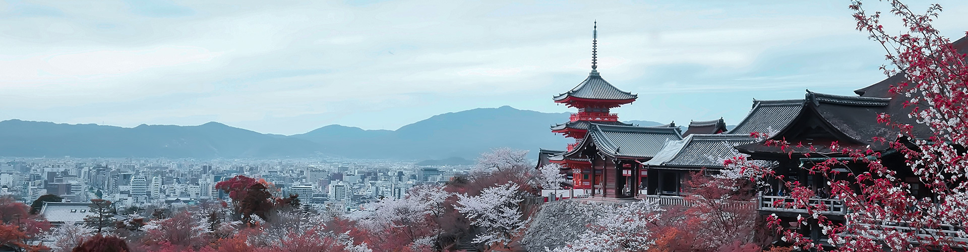 日本
