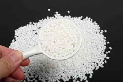 T1NG2