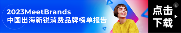 中國(guó)平臺(tái)海外激戰(zhàn)，重塑零售市場(chǎng)：中國(guó)出海新銳消費(fèi)品牌榜單報(bào)告