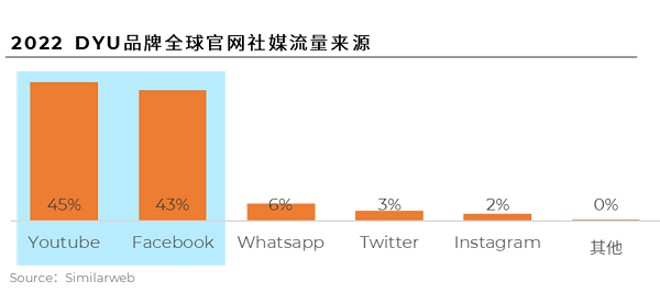 2022DYU品牌全球官網(wǎng)社媒流量來源