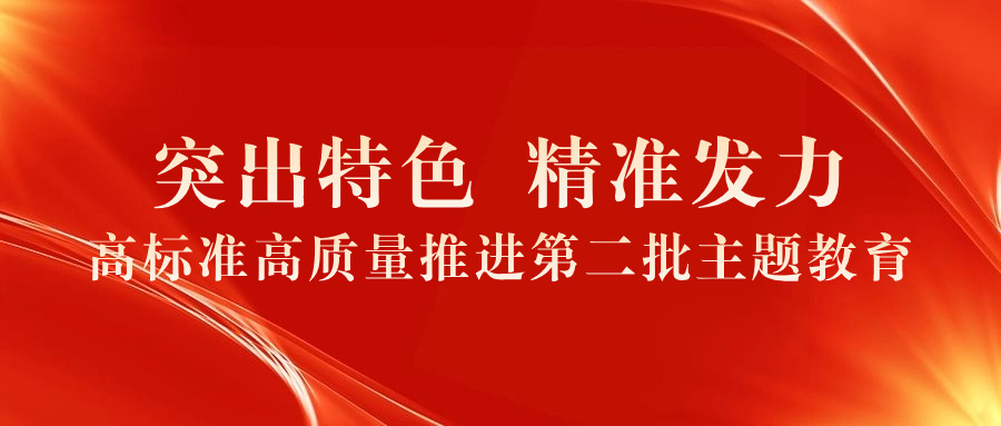 突出特色 精准发力 高标准高质量推进第二批主题教育