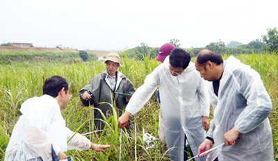 横滨橡胶日本国内的5家工厂加强生物多样性的保护活动