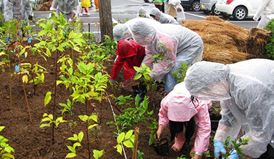 轮胎模具生产销售公司举行第一期植树活动