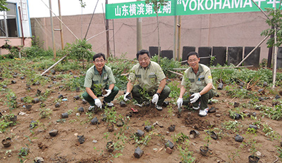 优科豪马山东工厂举行第五期“千年之林”植树活动