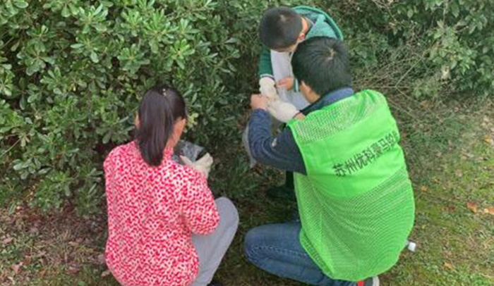 苏州优科豪马轮胎有限公司举办第五届生物多样性观察活动