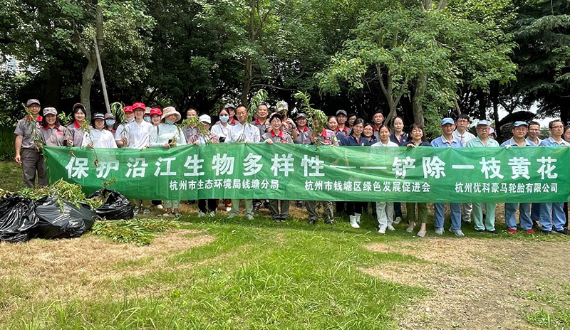 杭州优科豪马轮胎有限公司举办铲除一枝黄花活动