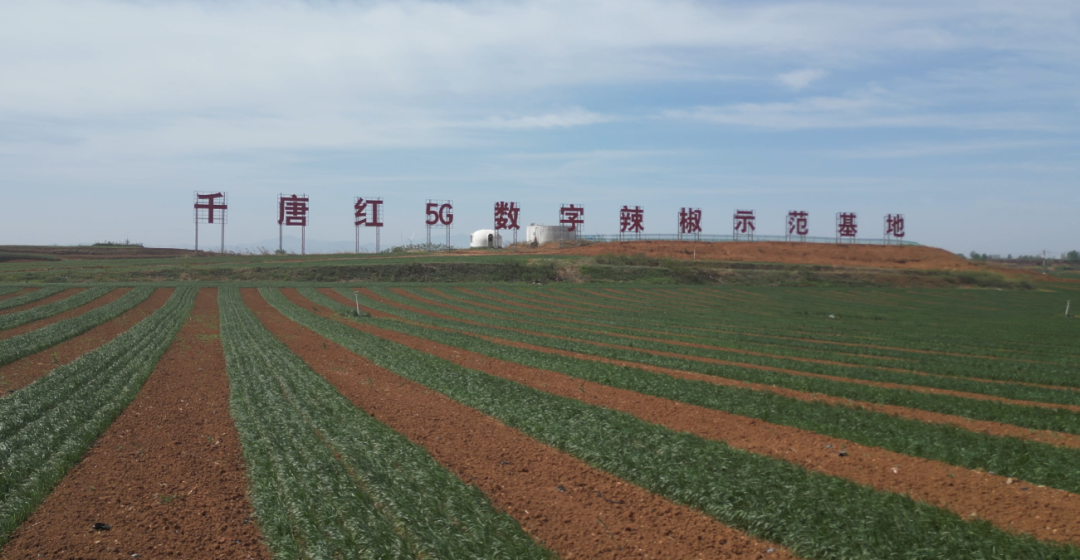 湖北富邦科技與河南益民控股達成戰略合作 黃河流域辣椒數字化種植示范項目正式落地