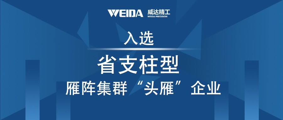 威达重工入选省支柱型雁阵集群“头雁”